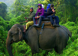 annapurna yoga trek